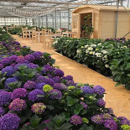 Unique Tiny House Close To Ams Airport With Hottub