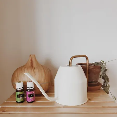 Alpesi faház Unique Tiny House Close To Ams Airport With Hottub *